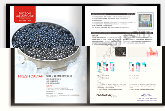 项目：企业宣传画册 行业：信息管理
