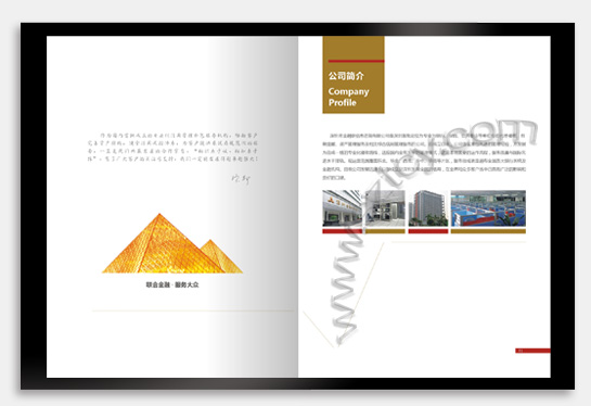 项目：产品宣传画册 行业：光电科技